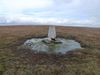 Filename=P1030206.JPG
Filesize=147KB
Dimensions=1024x768
Date added=Feb 20, 2018 P1030206.JPG