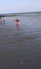 Filename=charm20140910170714.jpg
Filesize=89KB
Dimensions=459x768
Date added=Oct 02, 2014 charm20140910170714.jpg