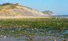 charm20140910171040.jpg