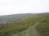 P4290041.JPG