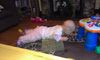 Filename=niaii20130127162423.jpg
Filesize=140KB
Dimensions=1280x768
Date added=Feb 27, 2013 niaii20130127162423.jpg