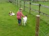 Filename=P1010474.JPG
Filesize=186KB
Dimensions=1043x768
Date added=Jul 22, 2015 P1010474.JPG