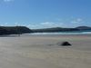 Filename=P1020266.JPG
Filesize=72KB
Dimensions=1024x768
Date added=Oct 23, 2013 P1020266.JPG