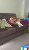 socot20150709095500a.jpg