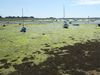 Filename=socot20150710105500.jpg
Filesize=179KB
Dimensions=1024x768
Date added=Jul 22, 2015 socot20150710105500.jpg