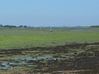 Filename=socot20150710110300.jpg
Filesize=112KB
Dimensions=1021x768
Date added=Jul 22, 2015 socot20150710110300.jpg