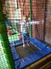 Filename=socot20150710151300.jpg
Filesize=138KB
Dimensions=576x768
Date added=Jul 22, 2015 socot20150710151300.jpg