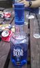 Filename=stag010.jpg
Filesize=68KB
Dimensions=459x768
Date added=May 31, 2011 stag010.jpg