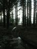 Filename=PC290003.JPG
Filesize=80KB
Dimensions=576x768
Date added=Dec 29, 2008 PC290003.JPG