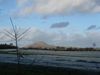 xmas20131230142038.jpg