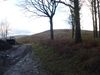 xmas20131230142628.jpg